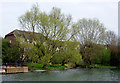 The River Cam in Cambridge