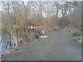 Footpath around Birdholme Pond