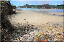 SX6147 : Wonwell beach by jeff collins