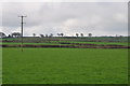 Pembrokeshire : Grassy Field