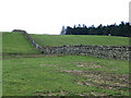 Field and wall near East Rackwood Hill