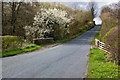 Bushburn Bridge