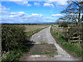 Driveway to Tumbleweed House