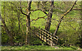 Footbridge over Dinckley Brook