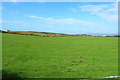 NX0264 : Farmland near Low Dinduff by Billy McCrorie