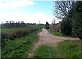 Track near Commonside Farm