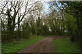 Path to Linwood (St. Cornelius) Church