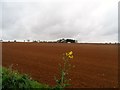 Fallow field near Wheatley