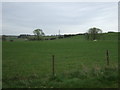 Farmland near Hundon Manor