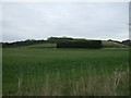 Farmland, Fonaby House Farm