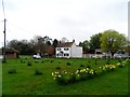 Cottage, village green and daffodils, Horspath