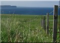 Farm track near Warsetter, Sanday, Orkney