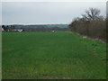 Crop field north of Caistor Road (Roman Road)