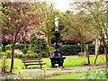 Fountain in Alexandra Park