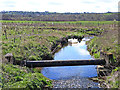 Beechburn Beck