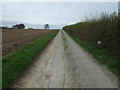 Farm track (bridleway)