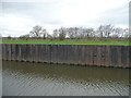 Piled flood bank, Wheatley Hall Cut