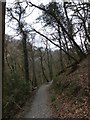 Path above Lydford Gorge