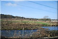 Ponds by the railway