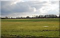 Flat farmland, Ashbocking