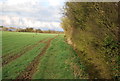 Footpath along field boundary