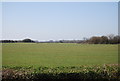 Farmland by Forstal Rd