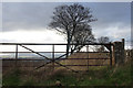 Gate and trees, Hill of Baldowrie