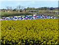 Cars parked at Twinlakes Theme Park