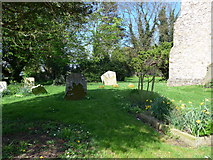 TR1032 : All Saints, Burmarsh: churchyard (iii) by Basher Eyre
