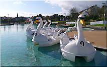 J5082 : The 'Pickie Swans', Bangor by Rossographer