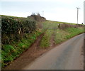 ST4392 : Twin tracks past a field gate near Llanvaches by Jaggery