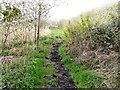 Pathway behind Grosvenor Road