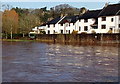 SO3700 : Swollen River Usk viewed from Usk Bridge, Usk by Jaggery