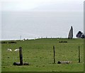 Standing Stone, Auchencar