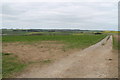 Track towards Glebe Farm