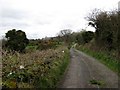 View north along Mill Lane