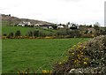 Whin field hedges in the Flurry Valley