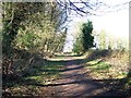 Track bed of the former Dundee to Tayport railway