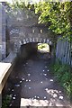 Bridgwater : Riverside Path & Tunnel