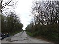 Track to farms and Lydford Forest