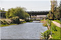 Sedgemoor : Bridgwater & Taunton Canal