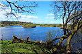 The River Dee from Lamb Island