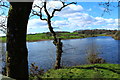 River Dee from the Bird Hide on Lamb Island