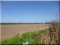 Burton, ploughed field