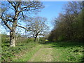 Path alongside Banstead Wood