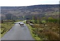 NT9101 : Sheep crossing the road, avoiding cattle grid by Russel Wills