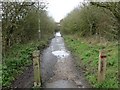 Chilton side of the footpath