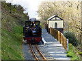 SN7277 : Vale of Rheidol Railway at Rhiwfron by John Lucas