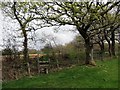 Llwybr Maerdy Mawr Path