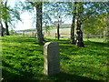 Marker for the North Downs Way at Upper Bush